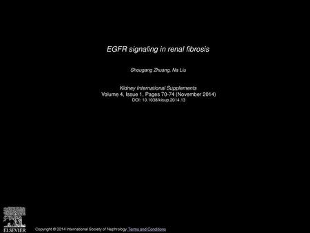 EGFR signaling in renal fibrosis