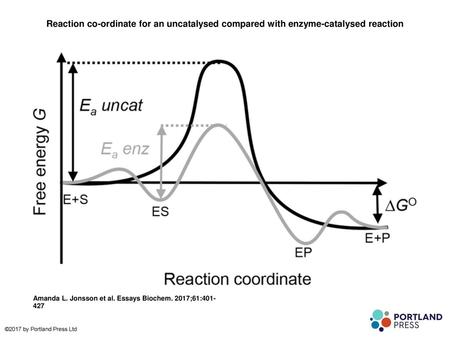 Reaction co-ordinate for an uncatalysed compared with enzyme-catalysed reaction Reaction co-ordinate for an uncatalysed compared with enzyme-catalysed.