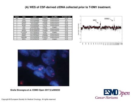 (A) WES of CSF-derived ctDNA collected prior to T-DM1 treatment.