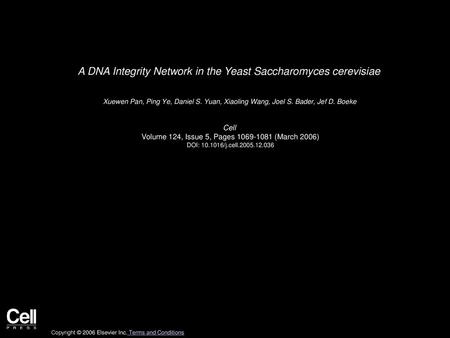 A DNA Integrity Network in the Yeast Saccharomyces cerevisiae