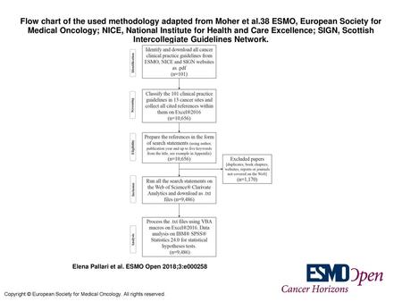 Flow chart of the used methodology adapted from Moher et al