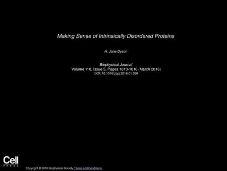 Making Sense of Intrinsically Disordered Proteins