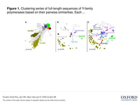 Figure 1. Clustering series of full-length sequences of Y-family polymerases based on their pairwise similarities. Each ... Figure 1. Clustering series.