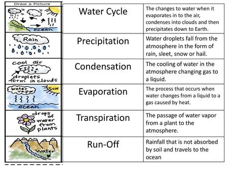 Water Cycle Precipitation Condensation Evaporation Transpiration