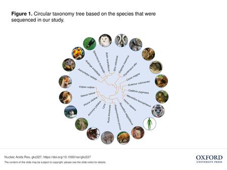 Figure 1. Circular taxonomy tree based on the species that were sequenced in our study. Unless provided in the caption above, the following copyright applies.