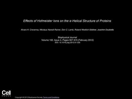 Effects of Hofmeister Ions on the α-Helical Structure of Proteins