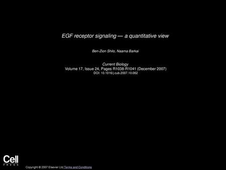 EGF receptor signaling — a quantitative view