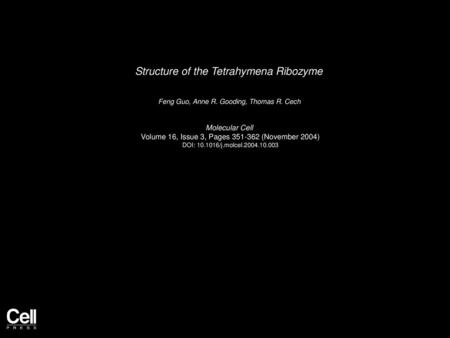 Structure of the Tetrahymena Ribozyme