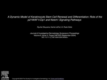 A Dynamic Model of Keratinocyte Stem Cell Renewal and Differentiation: Role of the p21WAF1/Cip1 and Notch1 Signaling Pathways  Ryuhei Okuyama, Karine.