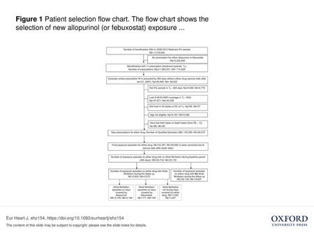 Figure 1 Patient selection flow chart