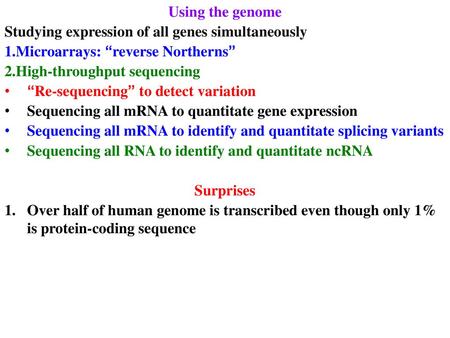 Using the genome Studying expression of all genes simultaneously