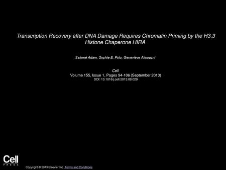 Transcription Recovery after DNA Damage Requires Chromatin Priming by the H3.3 Histone Chaperone HIRA  Salomé Adam, Sophie E. Polo, Geneviève Almouzni 