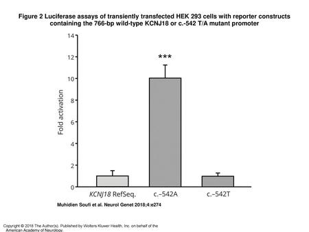 Figure 2 Luciferase assays of transiently transfected HEK 293 cells with reporter constructs containing the 766-bp wild-type KCNJ18 or c.-542 T/A mutant.