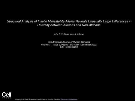 Structural Analysis of Insulin Minisatellite Alleles Reveals Unusually Large Differences in Diversity between Africans and Non-Africans  John D.H. Stead,