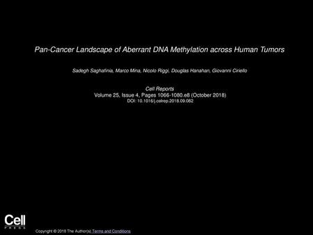 Pan-Cancer Landscape of Aberrant DNA Methylation across Human Tumors