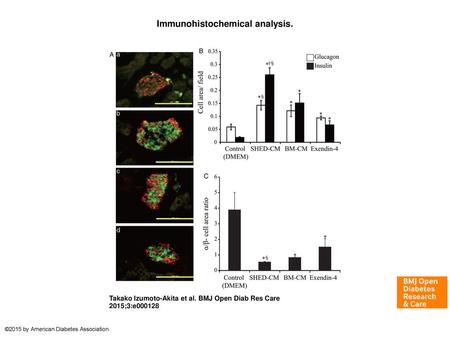 Immunohistochemical analysis.