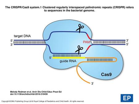 The CRISPR/Cas9 system.1 Clustered regularly interspaced palindromic repeats (CRISPR) refers to sequences in the bacterial genome. The CRISPR/Cas9 system.1.