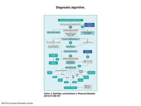 Diagnostic algorithm. Diagnostic algorithm. PH: pulmonary hypertension; group: clinical group; TTE: transthoracic echocardiography; PFT: pulmonary function.