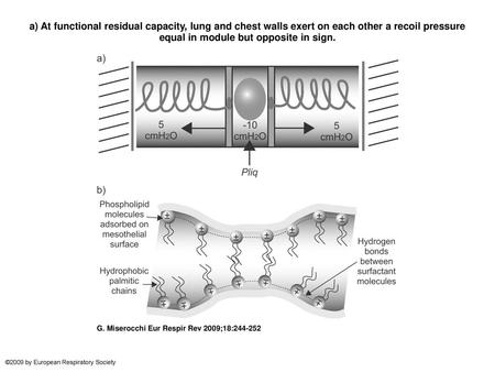 A) At functional residual capacity, lung and chest walls exert on each other a recoil pressure equal in module but opposite in sign. a) At functional residual.