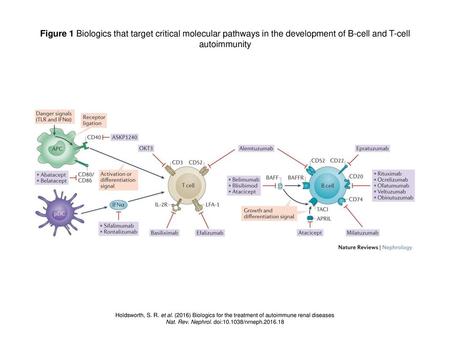 Nat. Rev. Nephrol. doi: /nrneph