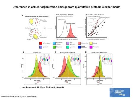 Differences in cellular organization emerge from quantitative proteomic experiments Differences in cellular organization emerge from quantitative proteomic.