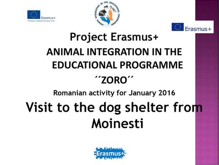 Visit to the dog shelter from Moinesti