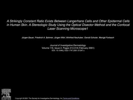 A Strikingly Constant Ratio Exists Between Langerhans Cells and Other Epidermal Cells in Human Skin. A Stereologic Study Using the Optical Disector Method.