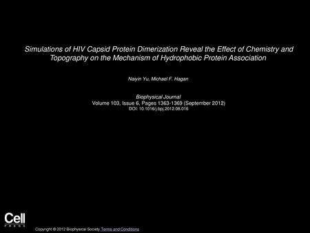 Simulations of HIV Capsid Protein Dimerization Reveal the Effect of Chemistry and Topography on the Mechanism of Hydrophobic Protein Association  Naiyin.