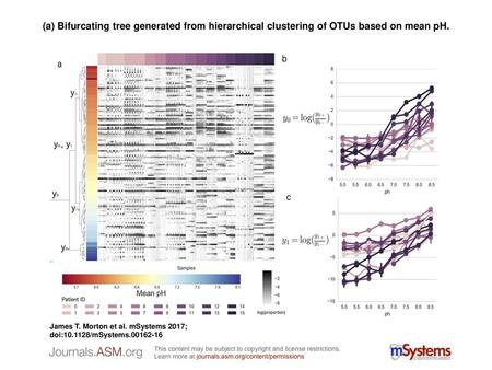 (a) Bifurcating tree generated from hierarchical clustering of OTUs based on mean pH. (a) Bifurcating tree generated from hierarchical clustering of OTUs.