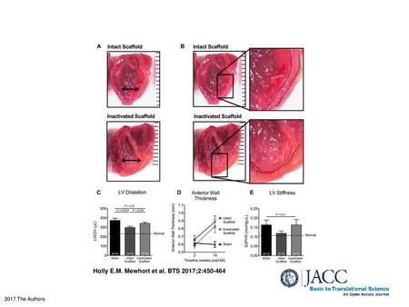 Holly E.M. Mewhort et al. BTS 2017;2: