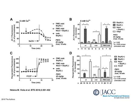 Helena M. Viola et al. BTS 2018;3: