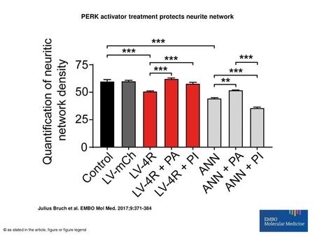 PERK activator treatment protects neurite network