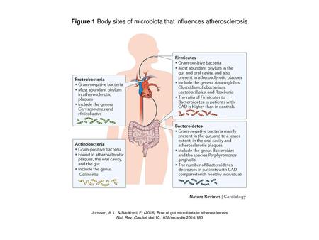 Figure 1 Body sites of microbiota that influences atherosclerosis