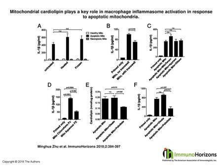 Mitochondrial cardiolipin plays a key role in macrophage inflammasome activation in response to apoptotic mitochondria. Mitochondrial cardiolipin plays.