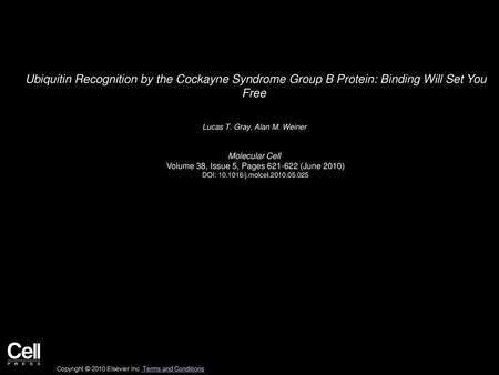 Lucas T. Gray, Alan M. Weiner  Molecular Cell 