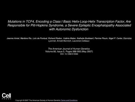 Mutations in TCF4, Encoding a Class I Basic Helix-Loop-Helix Transcription Factor, Are Responsible for Pitt-Hopkins Syndrome, a Severe Epileptic Encephalopathy.