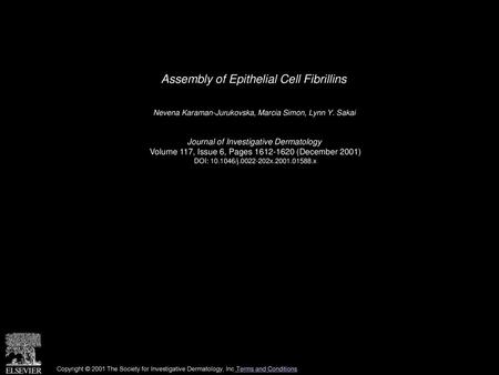 Assembly of Epithelial Cell Fibrillins