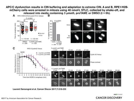 APC/C dysfunction results in CIN buffering and adaptation to extreme CIN. A and B, RPE1/H2B-mCherry cells were arrested in mitosis using 40 nmol/L STLC,