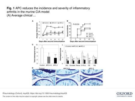 (A) Average clinical ... (A) Average clinical scores of DBA/J1 mice treated with APC at 0.5 (APC-0.5) or 2 mg/kg (APC-2) or PBS (control) (22 mice/group)