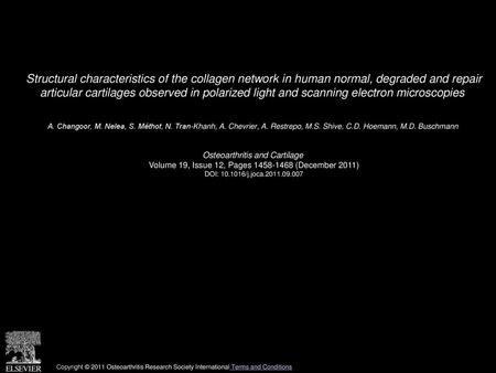 Structural characteristics of the collagen network in human normal, degraded and repair articular cartilages observed in polarized light and scanning.