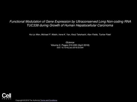 Functional Modulation of Gene Expression by Ultraconserved Long Non-coding RNA TUC338 during Growth of Human Hepatocellular Carcinoma  Hui-Ju Wen, Michael.