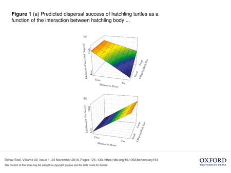 Figure 1 (a) Predicted dispersal success of hatchling turtles as a function of the interaction between hatchling body ... Figure 1 (a) Predicted dispersal.