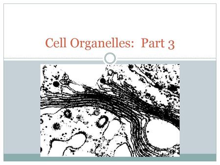 Cell Organelles: Part 3.