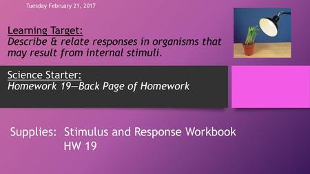 Supplies: Stimulus and Response Workbook HW 19