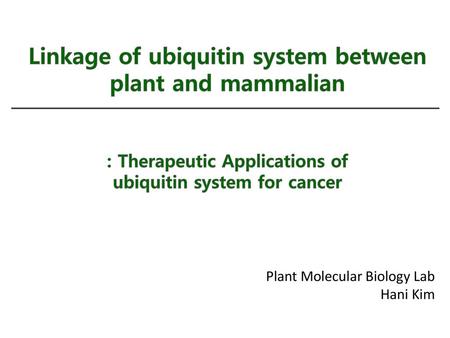 Linkage of ubiquitin system between plant and mammalian