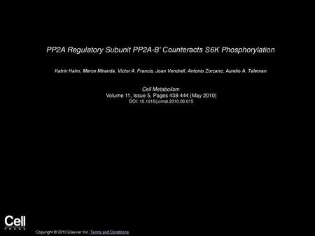 PP2A Regulatory Subunit PP2A-B′ Counteracts S6K Phosphorylation