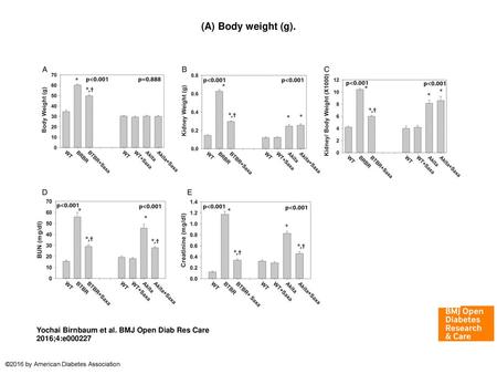 (A) Body weight (g). (A) Body weight (g). T2DM: n=6 per group. *p