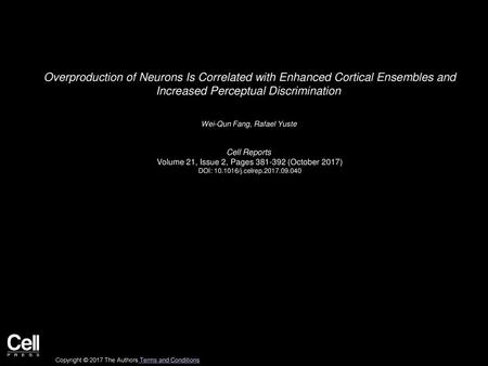 Overproduction of Neurons Is Correlated with Enhanced Cortical Ensembles and Increased Perceptual Discrimination  Wei-Qun Fang, Rafael Yuste  Cell Reports 