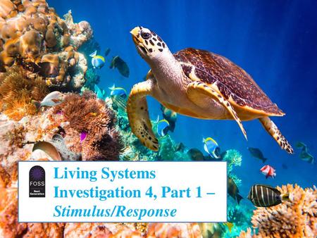 Living Systems Investigation 4, Part 1 – Stimulus/Response.