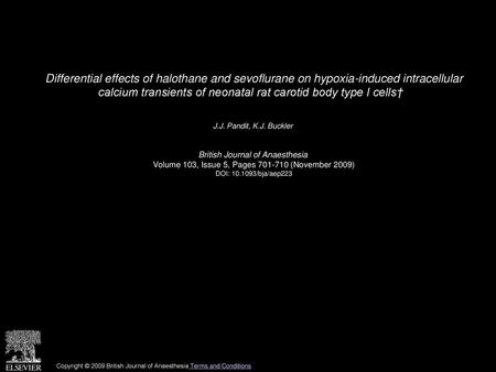 Differential effects of halothane and sevoflurane on hypoxia-induced intracellular calcium transients of neonatal rat carotid body type I cells†   J.J.